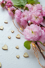 Obraz na płótnie Canvas pink spring flowers. sakura. almond flowers with hearts. 14 february