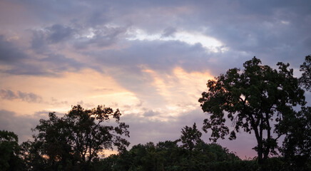 Silhouettes of trees in the background of the epic sunset sky.