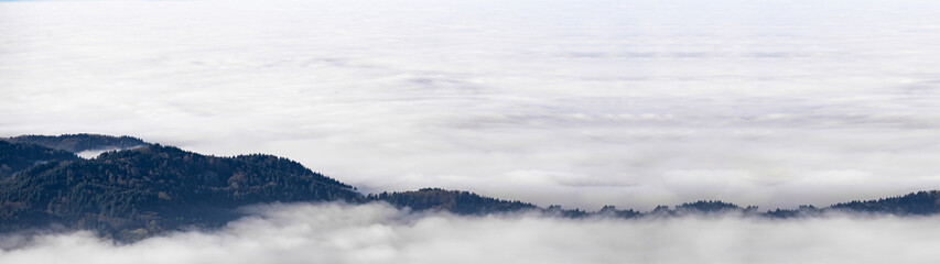 Fototapeta premium Sea of fog - Amazing mystical rising fog forest trees landscape in black forest ( Schwarzwald ) Germany panorama banner .- dark mood..