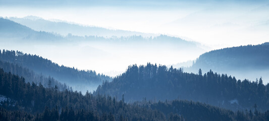 Amazing mystical rising fog mountains sky forest trees landscape view in black forest ( Schwarzwald ) winter, Germany panorama panoramic banner - mystical snow foggy mood