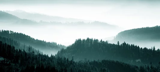 Schilderijen op glas Verbazingwekkende mystieke stijgende mist bergen hemel bos bomen landschapsmening in Zwarte Woud (Schwarzwald) winter, Duitsland panorama panoramisch banner - mystieke sneeuw mistige stemming © Corri Seizinger