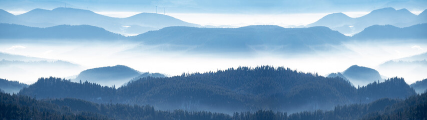 Amazing mystical rising fog mountains sky forest trees landscape view in black forest ( Schwarzwald...
