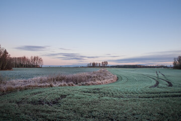 Cool, frozen morning during autumn months. Frost over the meadow in Northern Europe.