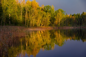 A beautiful autumn scenery at the forest lake with reflections. Fall scenery of Northern Europe.