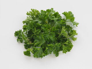 Isolated fresh green of curly parsley leaves on a white background. Useful spicy herb petroselinum crispum for dietary nutrition, closeup. Eco-friendly gardening, horticulture and crop production