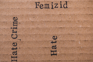 Gestempelter Text auf zerknittertem Pappkarton. Hate Crime, Femizid, Sexism.
