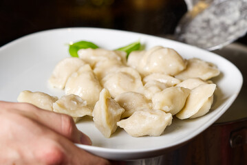 serving dumplings rto plate. Bowl of tasty dumplings served