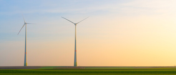 wind turbines on the field at sunset