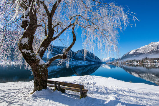 Grundlsee, Idylle mit Baum und B&auml;nken am Ufer, Steiermark, &Ouml;sterreich im Winter