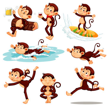 Set of funny monkeys doing different activities