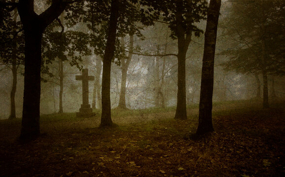 Dark landscape with mist, trees and cross in mysterious forest
