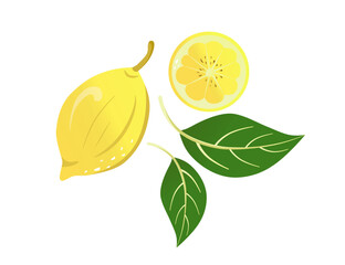 yellow lemon and lemon in section, green lemon leaves, vector illustration