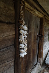 Hanging garlic,