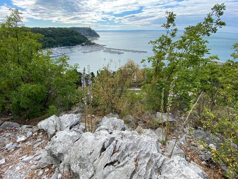 Rilke Weg Wanderweg bei Sistiana zwischen Duino und Triest in der Region Friaul-Julisch Venetien Italien 