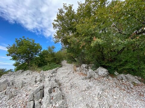 Rilke Weg Wanderweg bei Sistiana zwischen Duino und Triest in der Region Friaul-Julisch Venetien Italien 