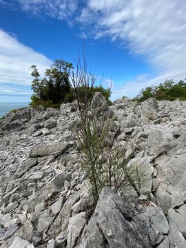 Rilke Weg Wanderweg bei Sistiana zwischen Duino und Triest in der Region Friaul-Julisch Venetien Italien 