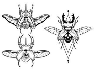 Set of stylized magic beetle. Collection of flying mythical insects scarab, stag beetle, etc. Celestial bugs with skull death. Vector illustration of flying beetles with mystic sign. Linear art.