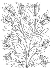 coloring flowers fantastic amazing graphics outline for kids and adults vector plants sketch hand drawing on white background isolate doodle antistress stroke postcard page