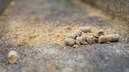 A wooden feed chute for animals with leftover food and a nice depth of field