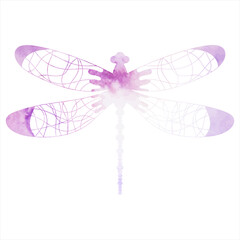 dragonfly watercolor silhouette on white background ,isolated, vector