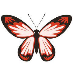 butterfly red, on white background vector