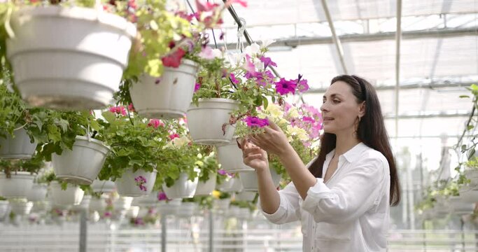 Female florist cuts the plant at the garden centre