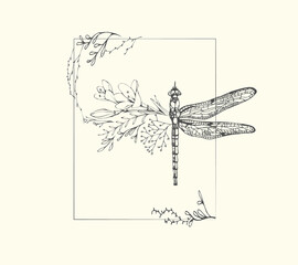 Half shape dragonfly with branch and flowers for tattoo t-shirt print or wall art. Hand drawn wedding herb. Botanical rustic trendy greenery. Vector - obrazy, fototapety, plakaty