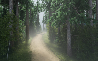 Path in a misty pine tree forest on a summer day. 3D render.