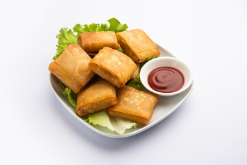 Chinese samosa square shape