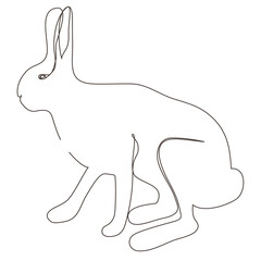 Sketchy, contour silhouette of a hare, a rabbit. Continuous one line drawing. Isolated vector illustration with black line on white background. Line art.