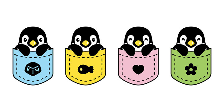 penguin vector pocket bird icon logo cartoon character illustration symbol design