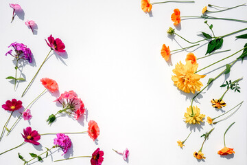 Flowers composition on white background with copy space.