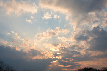 空