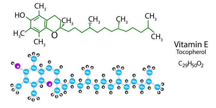 Vitamin E molecular structure. Tocopherol skeletal formula. Scientific background. Vector illustration. Stock image.