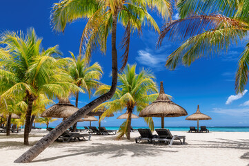 Paradise beach with palm trees and straw umbrellas and tropical sea in Mauritius island.