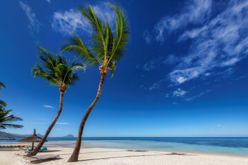 Beautiful beach with palm trees and turquoise sea in Mauritius island.