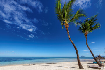 Paradise Sunny beach with palms and Caribbean sea. Summer vacation and tropical beach concept. 