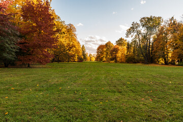 Autumn public park with meadow, colorful tress and blue sky with only few clouds