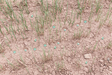 Proyecto fotográfico sobre el entorno, los paisajes y la tecnología. Investigación sobre los aviones de tipo dron. Aviones no tripulados.