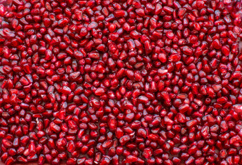 Fresh pomegranate seeds for food background.