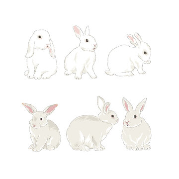 Cute spring Easter bunny hand drawn vector illustration set isolated on white. Vintage classic aesthetic print.