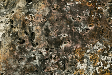 Old gray stone wall with moss texture background. Macro photography.