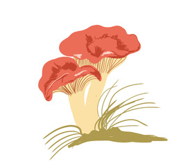 mushroom vector illustration. funghi