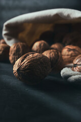Sack of walnuts with copy space in dark mood shot.