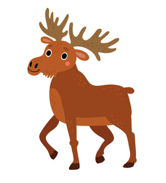 Elk. Vector illustration. Full length elk 