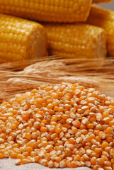 Raw corn kernels on corncobs background