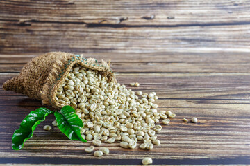 Unroasted green coffee beans in brown sacks