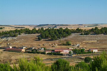 Fototapeta na wymiar Viñedos de la zona con D.O. Cigales en la provincia de Valladolid.