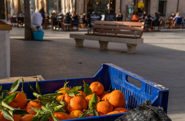 Close-up of mandarins at a street market