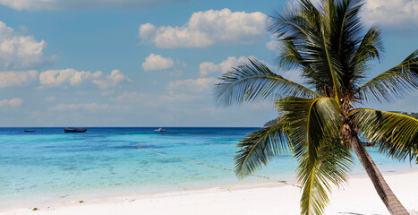 The banner of summer with Palm  tree and white  Beach - Tropical Holiday concept